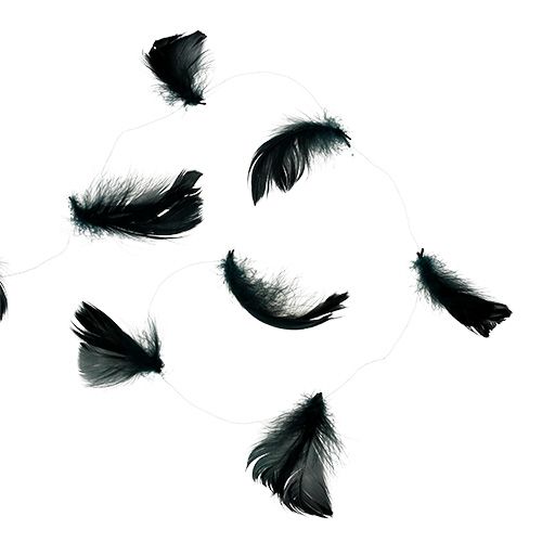 Floristik24 Drót rugós fekete 10m