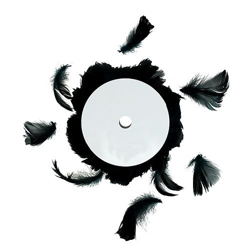 Floristik24 Drót rugós fekete 10m