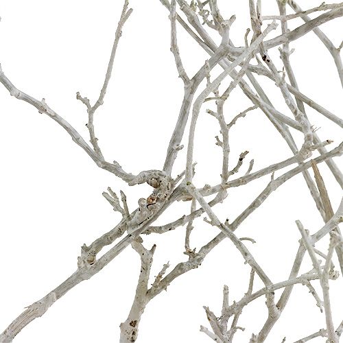 tételeket Dry Tree White mosott 500g