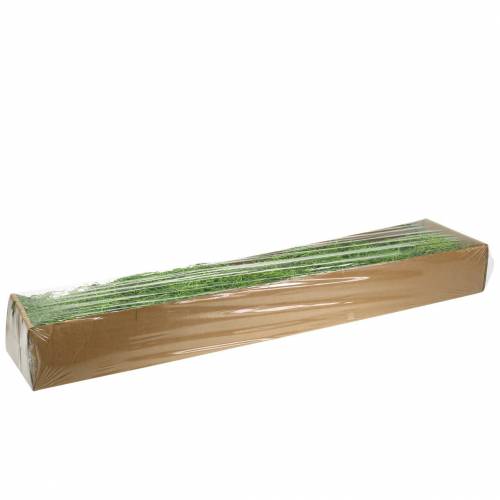 Floristik24 Dzsungel moha tavaszi zöld 250g