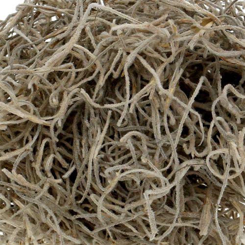 Floristik24 Dzsungelmoha natúr 250g