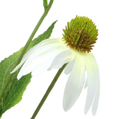 tételeket Echinacea virág műfehér 90cm