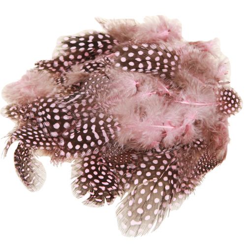 Igazi gyöngytyúk toll rózsaszín pöttyös 4-12cm 100 db