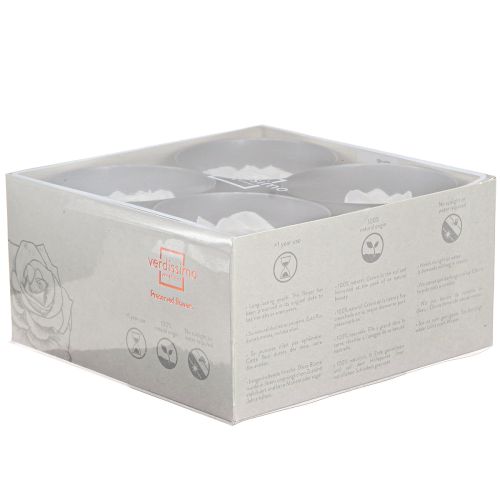 Floristik24 Igazi rózsafejek Infinity Roses Fehér Prémium Ø8.5cm 4 db