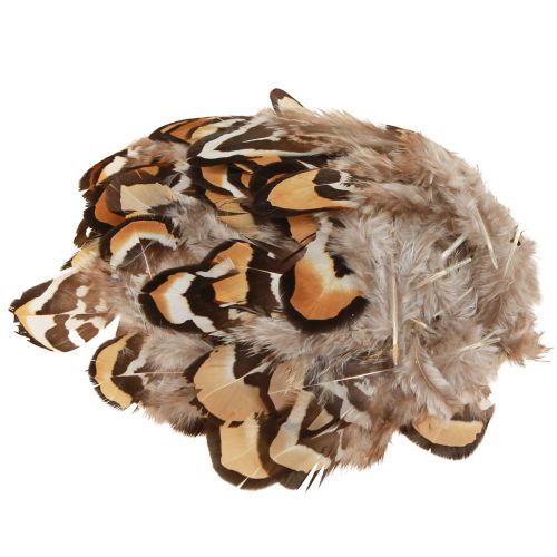 Floristik24 Igazi madártoll dísztoll csíkos 3-4cm 60 db