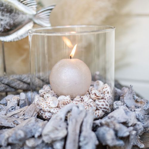 Floristik24 Valódi kagyló csigaház dekoráció, Capiz gyöngyház 400g