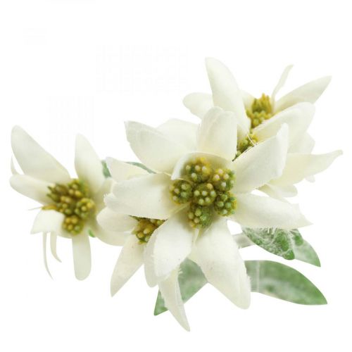 tételeket Edelweiss művirág fehér bolyhos 38cm