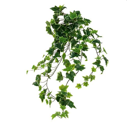Floristik24 Ivy fogas 80cm fehér-zöld