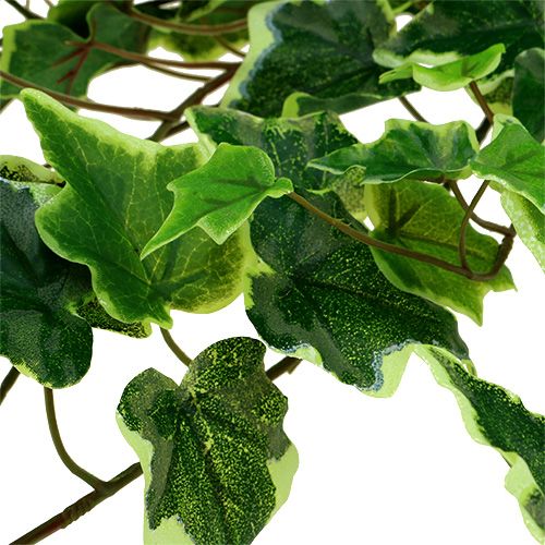 tételeket Ivy fogas 80cm fehér-zöld