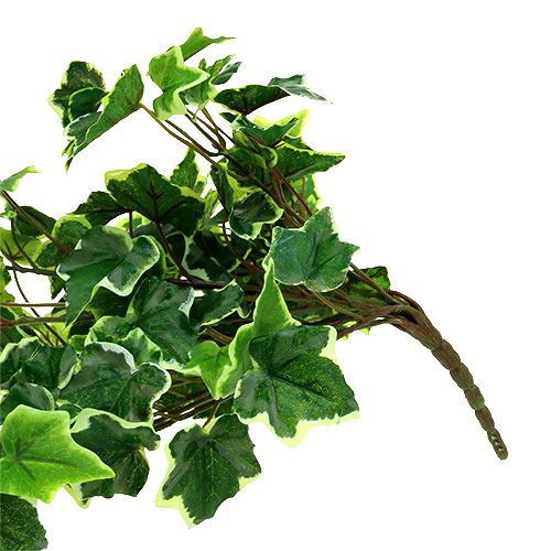 Floristik24 Ivy fogas 80cm fehér-zöld