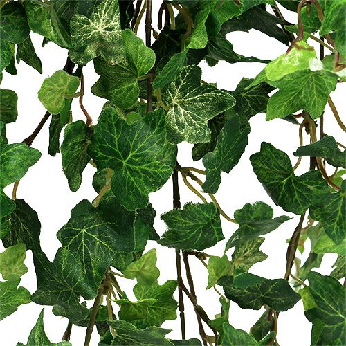 tételeket Ivy fogas zöld 90cm
