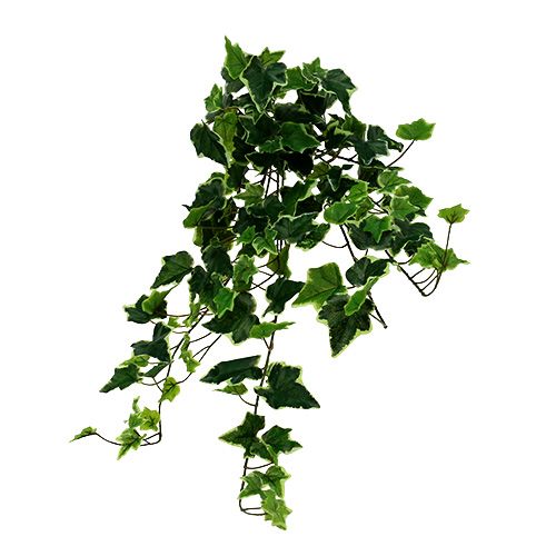 Floristik24 Ivy fogas fehér-zöld 70cm