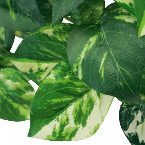 Floristik24 Borostyán növény Pothos ivy műarany inda 50cm