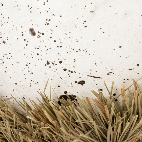 tételeket Húsvéti fészektál tojás alakú tavaszi dekorációhoz 11cm 4db