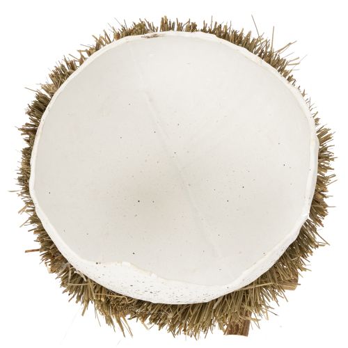 tételeket Húsvéti fészektál tojás alakú tavaszi dekorációhoz 11cm 4db