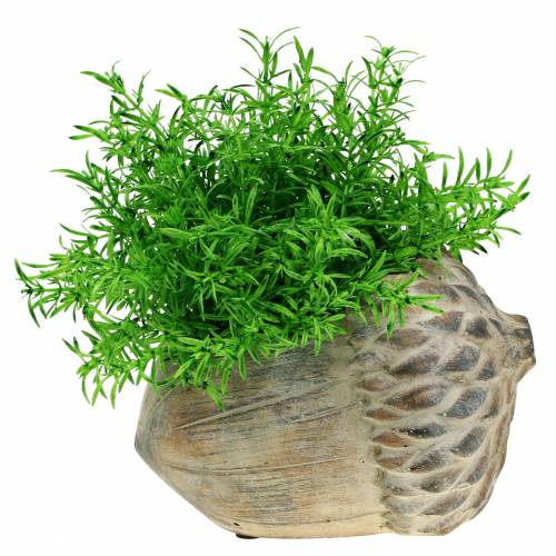 Floristik24 Vetőbeton makk 21,5cm × 14cm H9,5cm