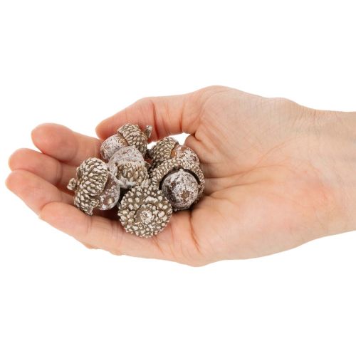 Makk, természetes dekorációs termék, fehérre meszelt, 1-3 cm, 300g | Floristik24.hu