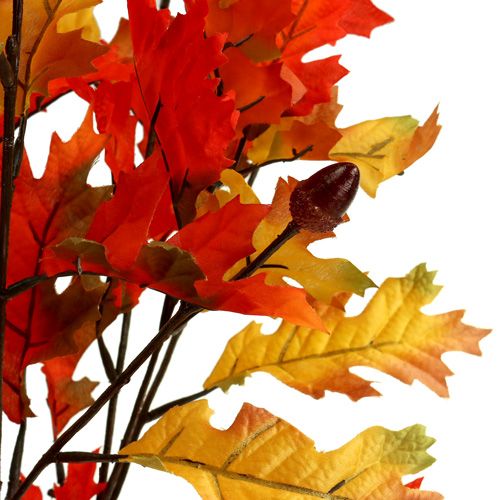 Floristik24 Tölgylevelű bokor narancssárga 56cm