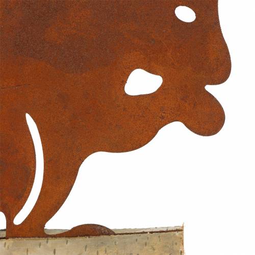 Floristik24 Mókus patina a fa alapon 19cm x 25cm