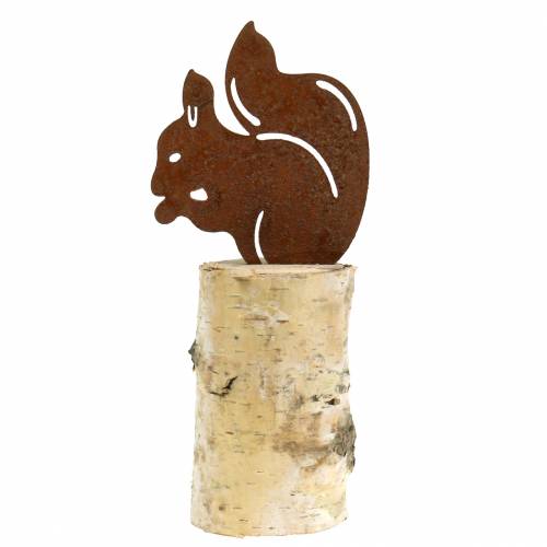 Floristik24 Mókus patina a törzsön H22cm