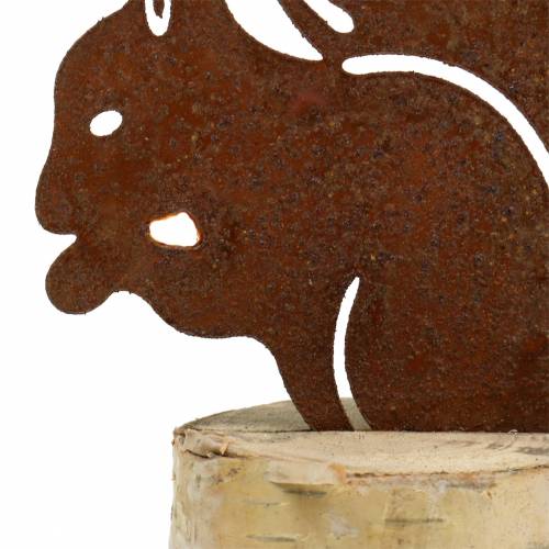 Floristik24 Mókus patina a törzsön H22cm