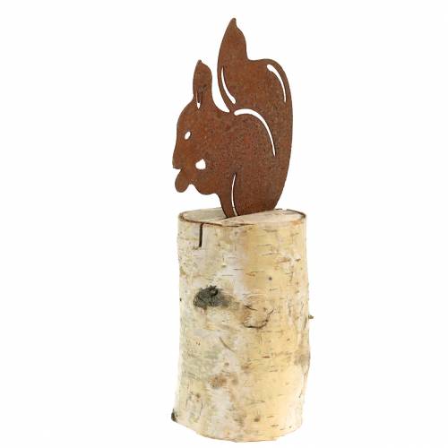 Floristik24 Mókus patina a törzsön H22cm