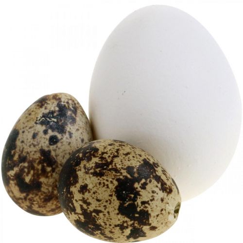 Floristik24 Dekorációs tojáskeverék fürjtojás és tyúktojás Kifújt húsvéti tojás