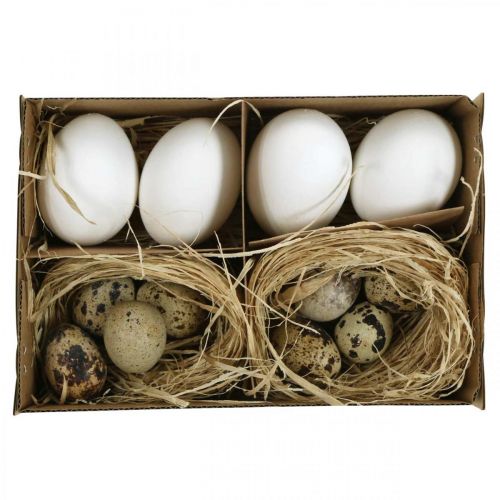 Floristik24 Dekorációs tojáskeverék fürjtojás és tyúktojás Kifújt húsvéti tojás