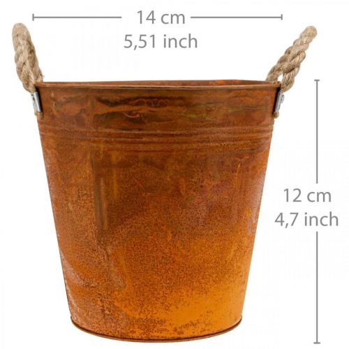 Floristik24 Cserepes, őszi dekoráció, patinás fémedény Ø14cm H12cm