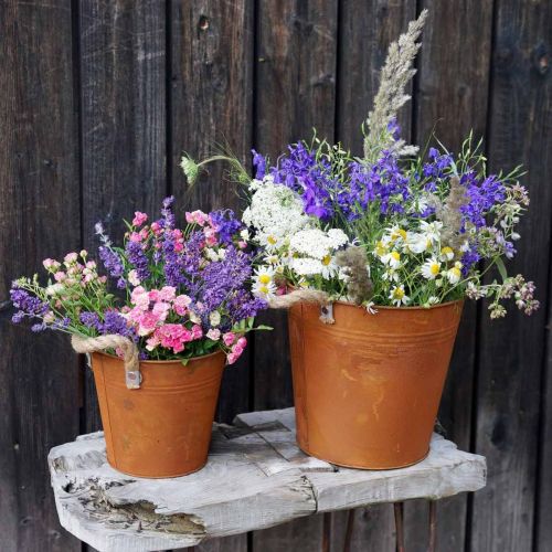 tételeket Fém edény fogantyúval, gyógynövényes cserép, rozsdadísz Ø16,5cm H15cm