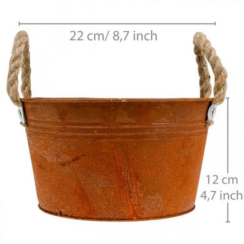 Floristik24 Fém edény kötélnyel, növénytál, ősz, patina Ø22cm H12cm