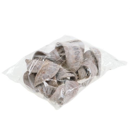 tételeket Elephant Ear White mosott 25 db