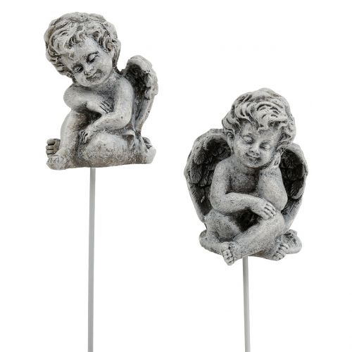 Floristik24 Angyalszürke, mint dugó 5cm - 5,5cm 8 db