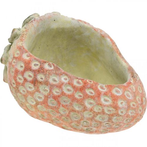 Dekoratív eper, cserepes, beton dekoráció ültetéshez L17cm