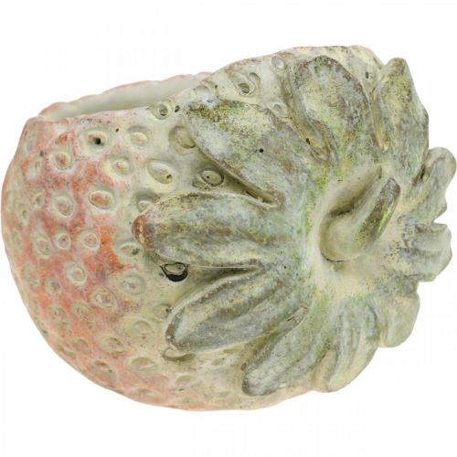 tételeket Dekoratív eper, cserepes, beton dekoráció ültetéshez L17cm