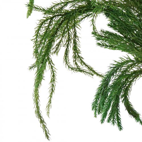 tételeket Erika moha dekoratív moha zöld natúr dekoráció szárítva 20-35cm 400g