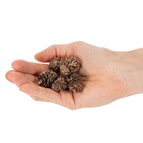 Égertobozok, természetes anyag dekorációhoz és barkácsoláshoz, arany, 3 cm, 300 g | Floristik24.hu