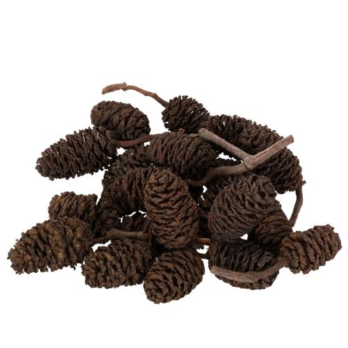 Természetes égerfa tobozok, kinyerhetőek, dekorációnak, 3 cm, 300 g, natúr barna. vétel | Floristik24.hu