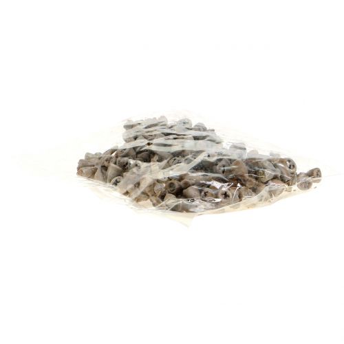 Floristik24 Eukaliptusz gyümölcs viaszos szürkésbarna 250g