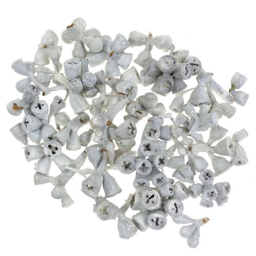 Floristik24 Eukaliptusz gyümölcs viaszos fehér 250g