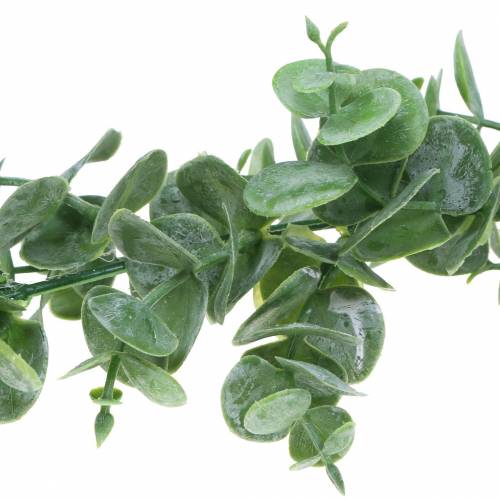 Floristik24 Eukaliptusz füzér zöld 180cm