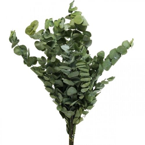 Eukaliptusz tartósított ágak levelei kerek zöld 150g