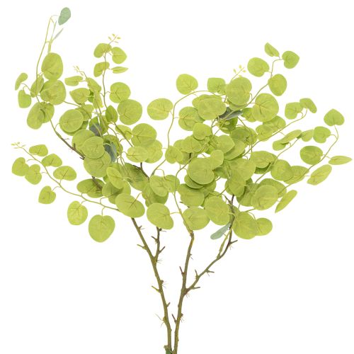 tételeket Dekoratív eukaliptusz ág, ideális asztaldísz, 120 cm