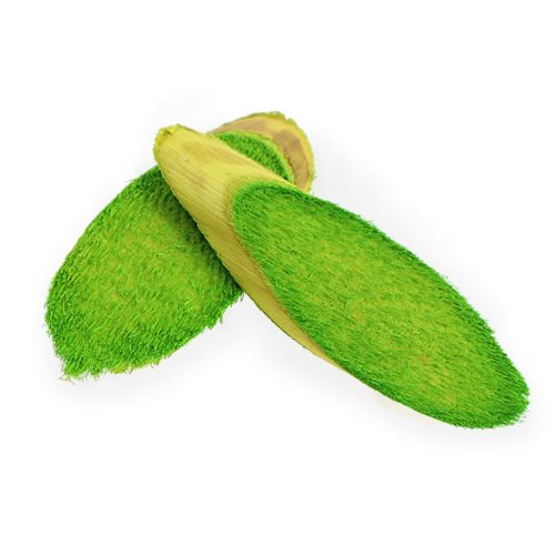 Floristik24 Dekoratív fa korongok tavaszi zöld 300g