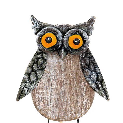 Floristik24 Bagolyvirág dugó 10cm 4db