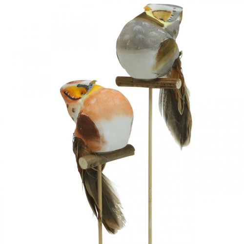 tételeket Deco dugós bagoly, virágdísz, bagoly tollas H5,5cm 6db