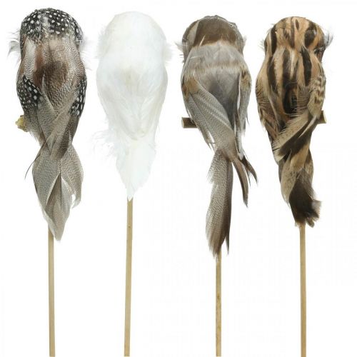 Floristik24 Virágdugó deko tollas bagoly fehér, barna H15cm 4db