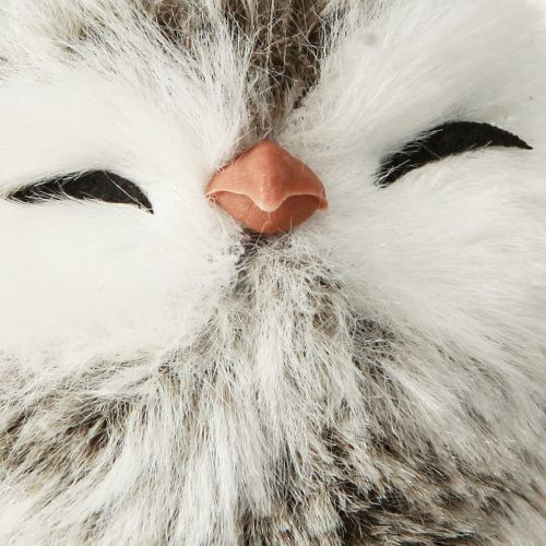 Floristik24 Bagolydísz bagolyfiókák akasztható fehér barna 6cm 4 db