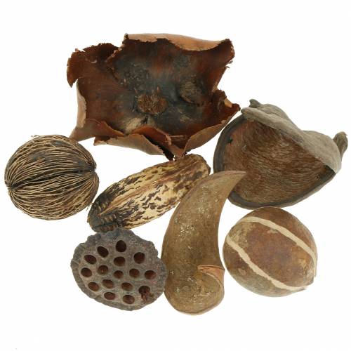 Floristik24 Egzotikus termékcsalád természet nettó 200g