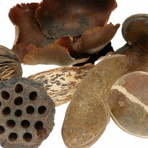 Floristik24 Egzotikus termékcsalád természet nettó 200g